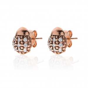 Orecchini in Argento con zirconi